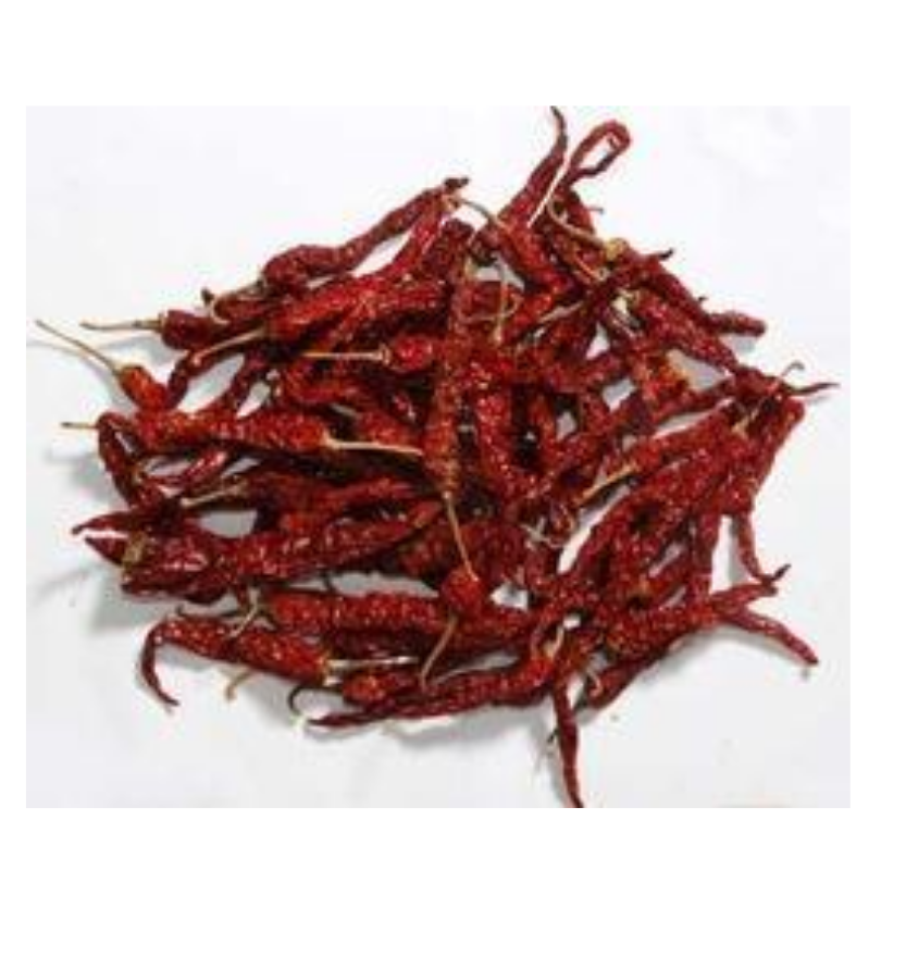 Karnataka Byadagi 14Oz