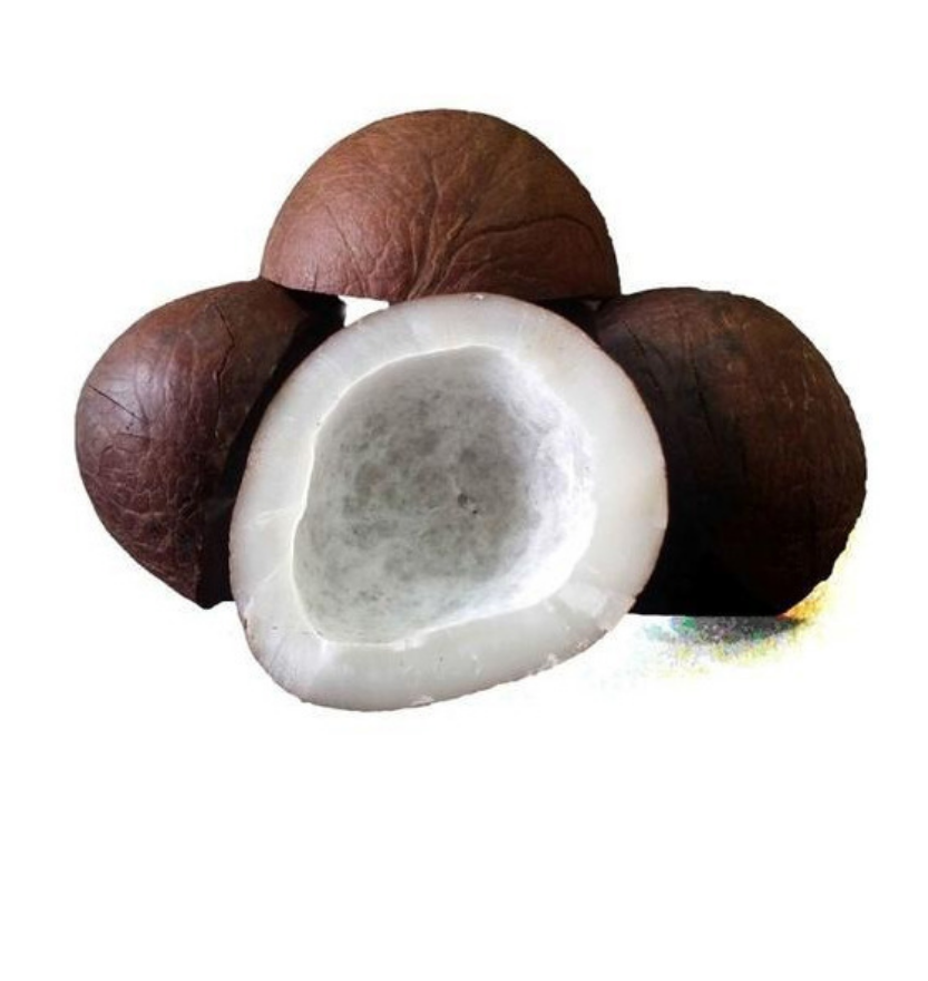 Dry Coconut 1 pc