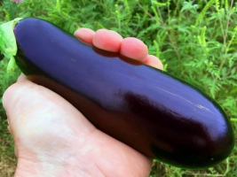 Big Egg Plant