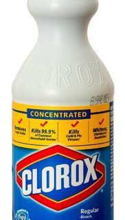Clorox Regular Bleach 473 Ml