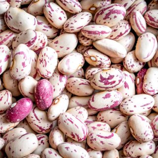 Cranberry Beans