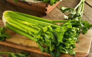 Celery 1Pc