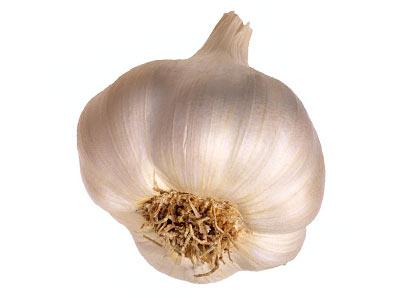 Garlic Bunch