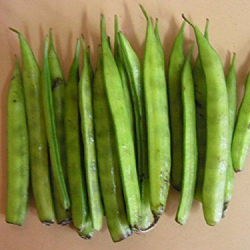 Guvar 0.5 lb