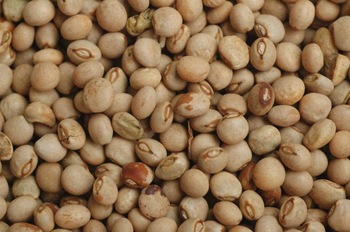 Toor Whole 4Lb