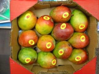 Haden Mango Box