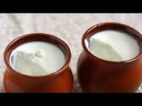 Homestyle Pure Malai Dahi 907 g.m