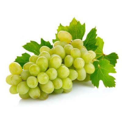 Indian Grapes