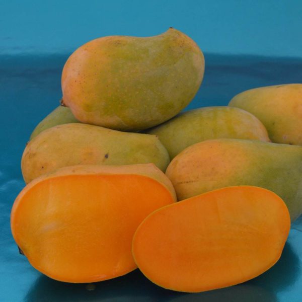 Indian Kesar Mango