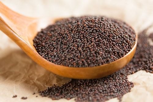 Mustard Seed 5lb