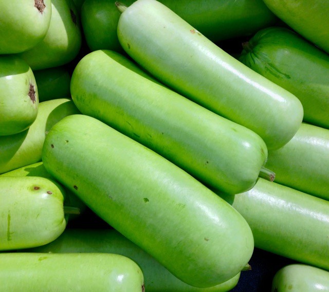 Long Squash 1 PC