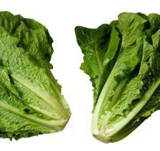 Loose Romain Lettuce