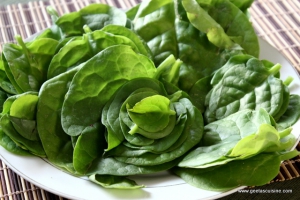 Poi Leaves