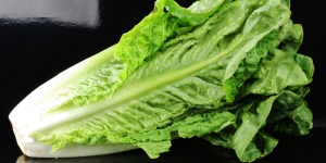 Romaine Lettuce