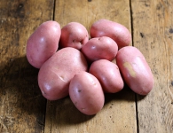Red potato