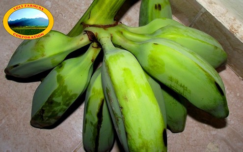 Rulo Banana
