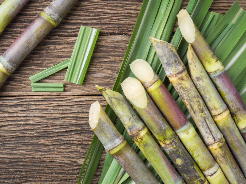 Sugarcane (Long) 1 pc
