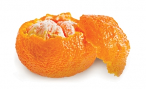 Tangerine Loose