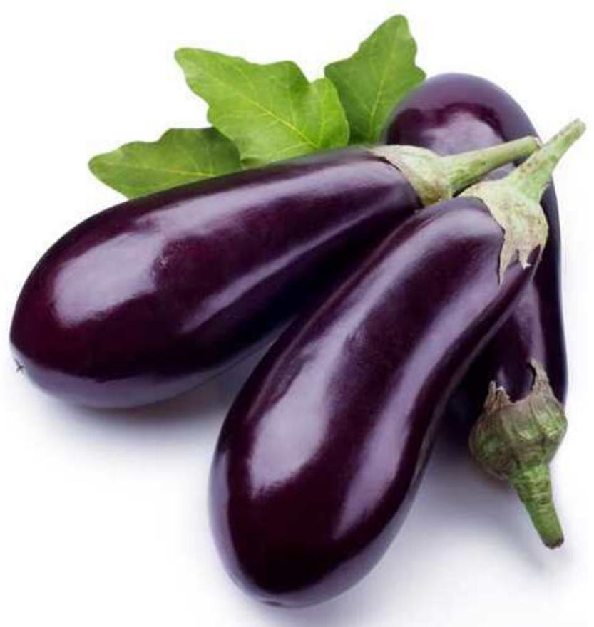 Big Eggplant 1pc