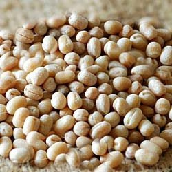 Masoor Dal 2Lb