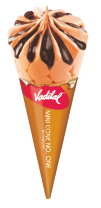 Vadilal Butterscotch Cone