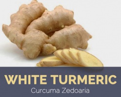 White Turmeric