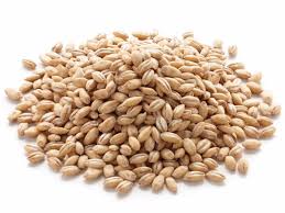Kanaiya Barley Whole With Husk 100Gm