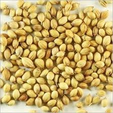 Corainder Seeds 14Oz