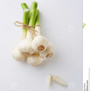 FRESH GARLIC 1/2LB