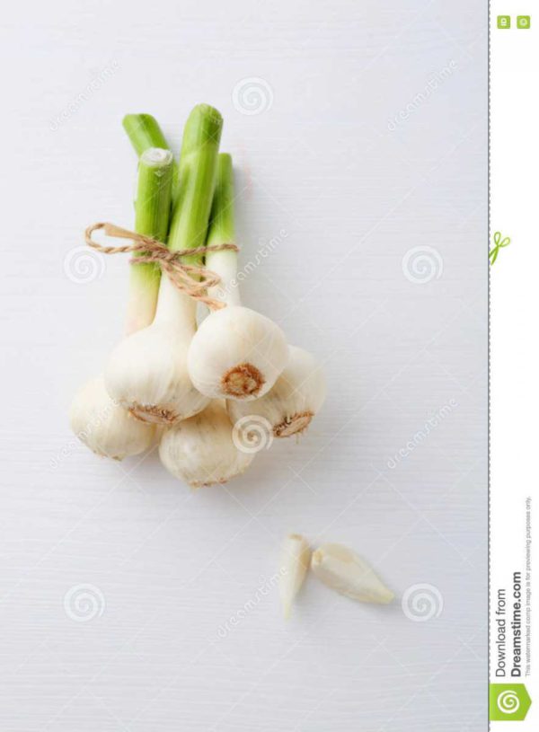 FRESH GARLIC 1/2LB