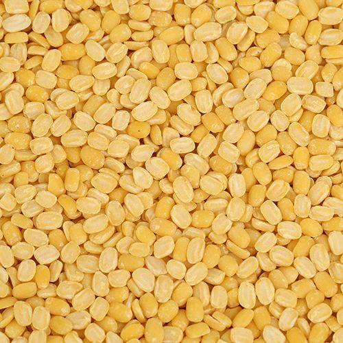 MungDal 2lb