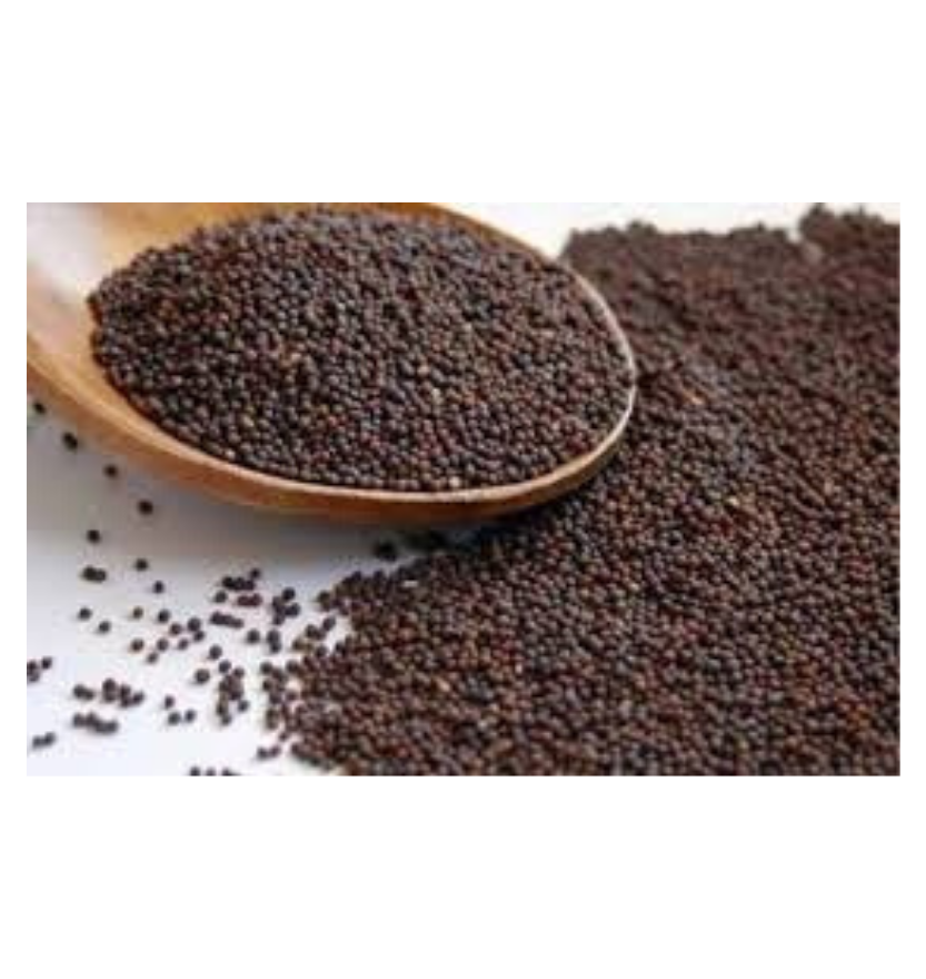 Mustard Seeds 28 Oz