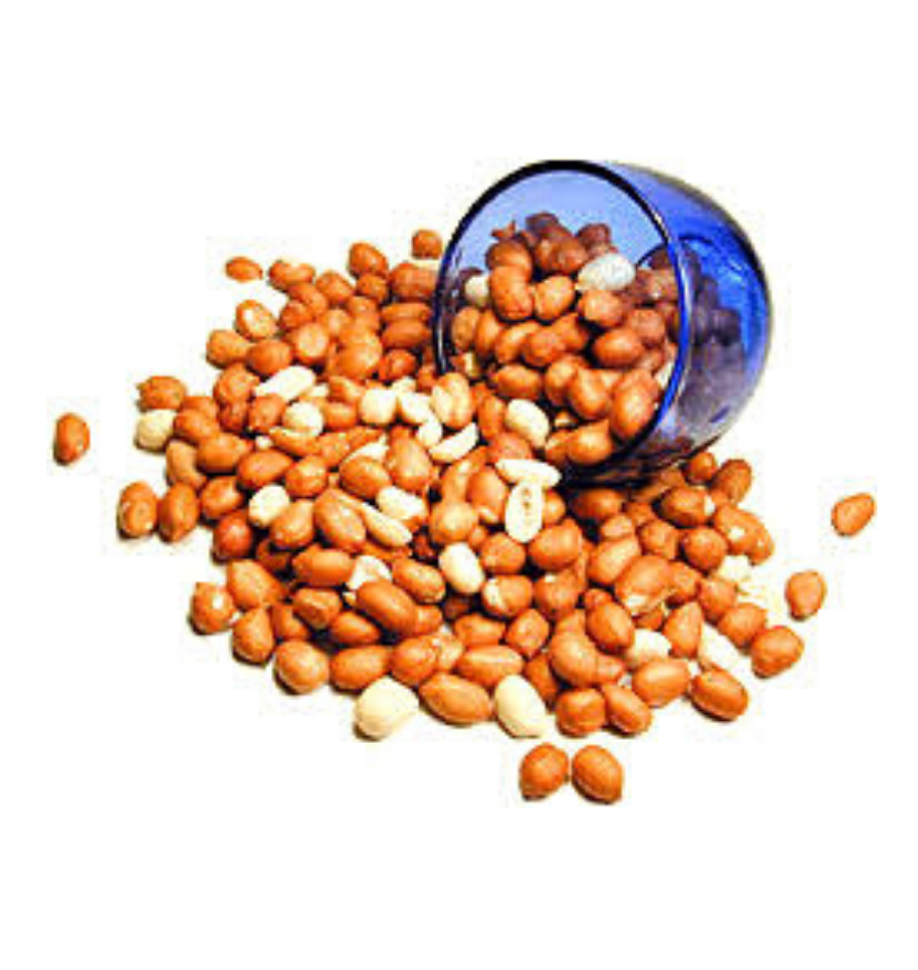 Indian Peanuts 14 Oz