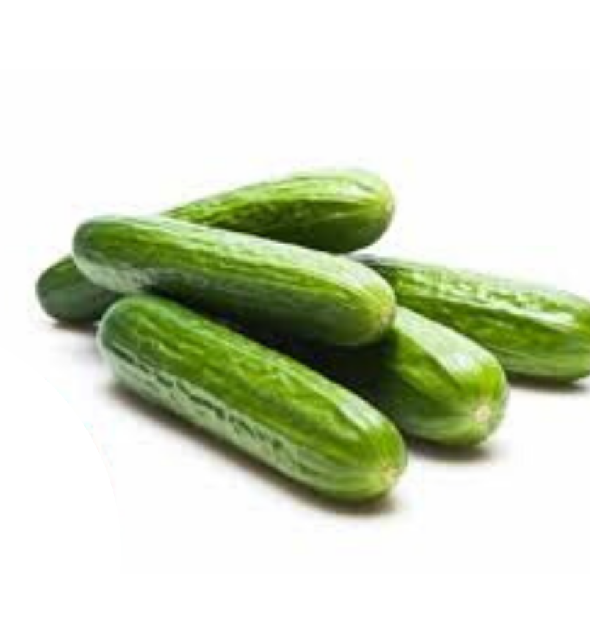 Persian Cucumber
