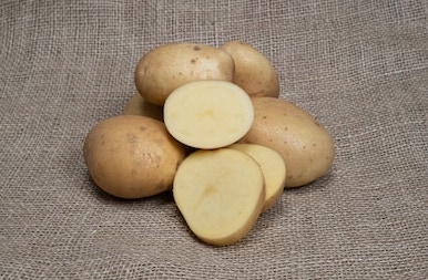 Idaho Potato