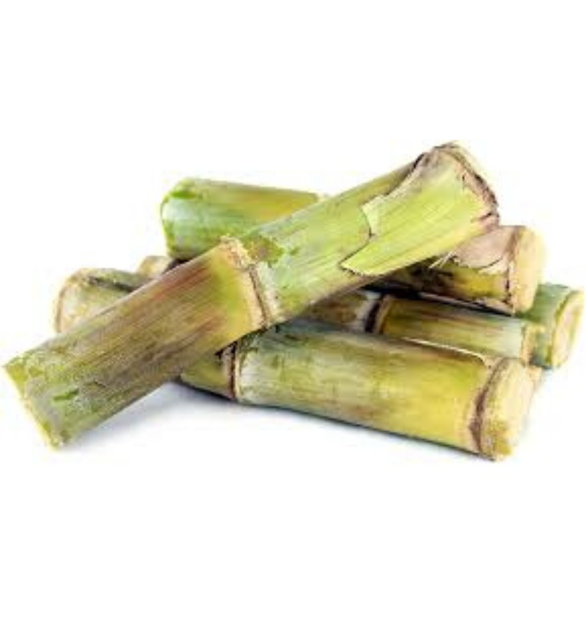 Sugarcane (Long) 1 pc
