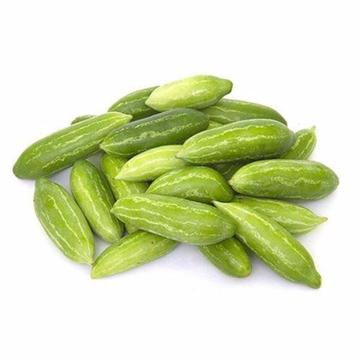 Tindora 1lb