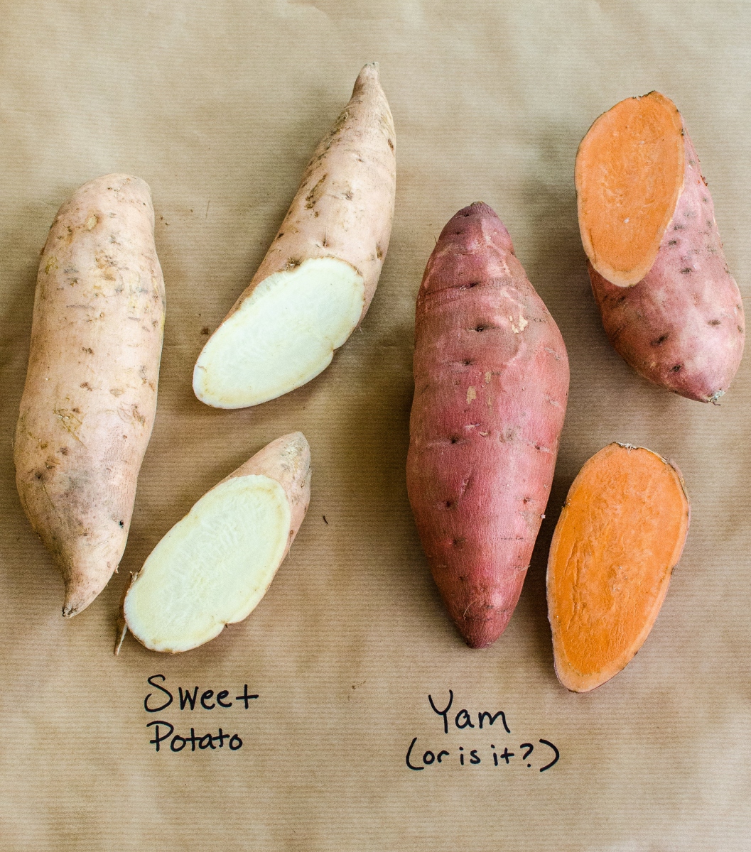 Yam