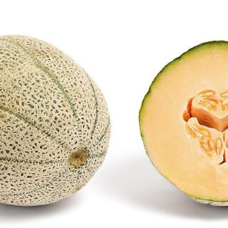 Cantalope 1Pc