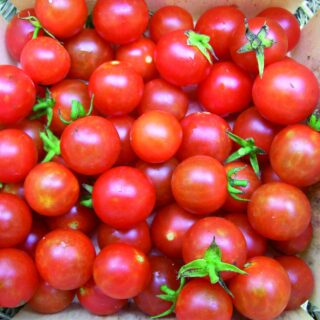 Cherry Tomoto