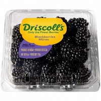 Driscolls Blackberries