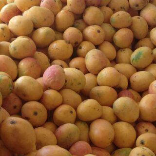 Dominicano Mango