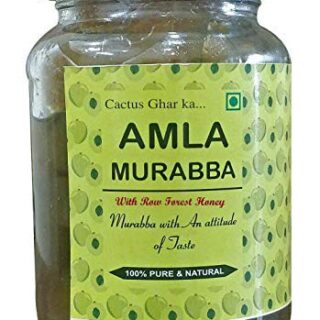 Ggar Se Amla Murabba 800 G.M