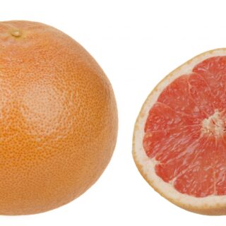 Grapefruit
