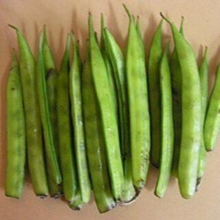 Guvar 0.5 lb