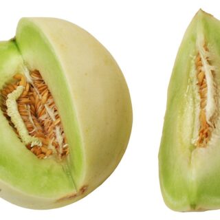 Honeydew Melon