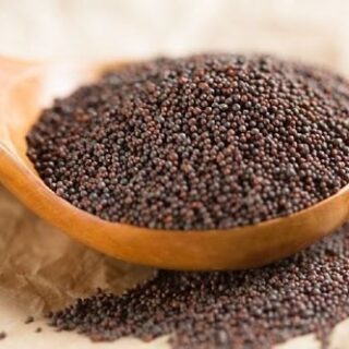 Mustard Seed 5lb