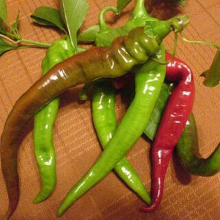 Long Hot Chillies 1/2lb