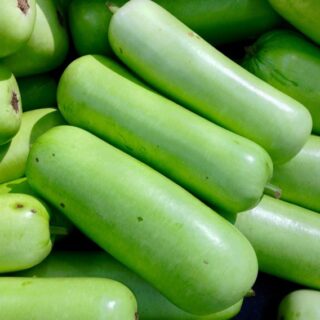 Long Squash 1 PC