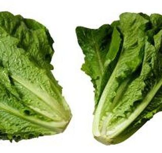 Loose Romain Lettuce